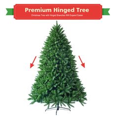 a green christmas tree with red arrows pointing to the top and bottom, on a white background