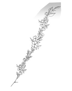 a line drawing of flowers and leaves on a white background