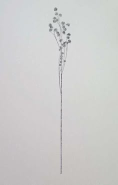 a drawing of some kind of flower on a white background with no leaves or flowers