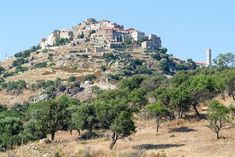 an old village on top of a hill surrounded by trees