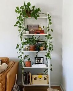 a white shelf filled with books and plants next to a brown couch in a living room