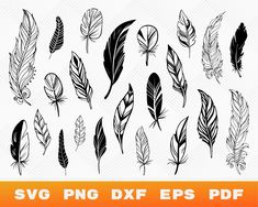 black and white feathers clipart set with text svg png dxf eps