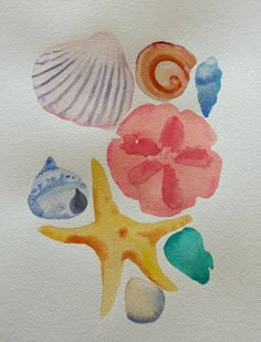 watercolor painting of seashells and starfish on white paper