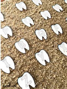 a group of white tooth shaped magnets sitting on top of a wooden floor