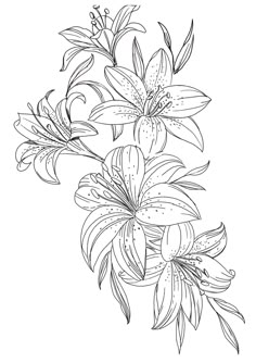 a black and white drawing of lilies on a branch with leaves in the background