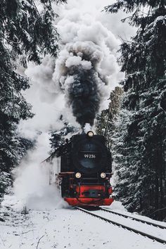 a train traveling through a snow covered forest filled with trees and steam pouring out of it's chimney