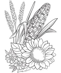 corn on the cob and flowers coloring page