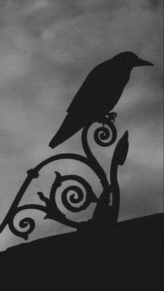 a black bird sitting on top of a wrought iron fence with clouds in the background