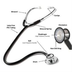 a medical stethoscope with labeled parts labelled on it's side, including the name and description