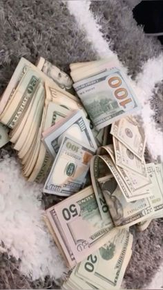 a pile of money sitting on top of a carpet covered in white fluffy blankets and fur