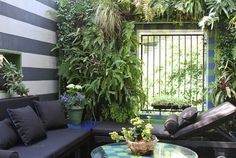 an outdoor living area with plants and furniture