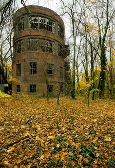 an abandoned building surrounded by leaves and trees