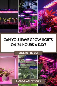 an image of plants growing in the dark with text that reads can you leave grow lights on 24 hours a day?