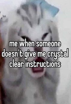 someone is trying to tell me when someone doesn't give me crystal clear instructions