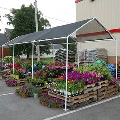 several wooden pallets filled with flowers and plants