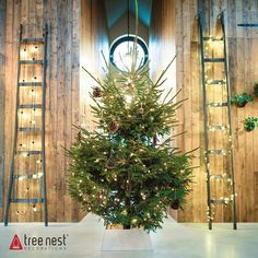 a small christmas tree in a room with wooden walls and ladders on the wall