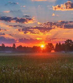 the sun is setting over a field with wildflowers in the foreground and clouds in the background