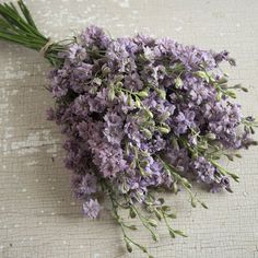 a bunch of lavender flowers sitting on top of a table