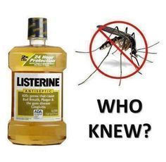 a bottle of listerine next to an image of a mosquito with the caption, who knew?