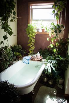 a bath tub sitting next to a window filled with green plants and potted plants