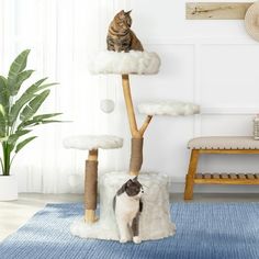 a cat sitting on top of a tree in the middle of a living room next to a chair