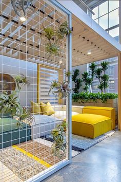 an indoor living area with plants and couches