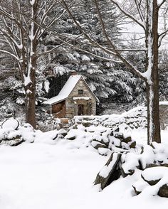 a small house surrounded by snow covered trees