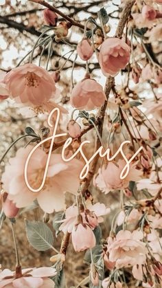 the word jesus surrounded by pink flowers