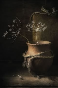 a plant in a clay pot with twine around it