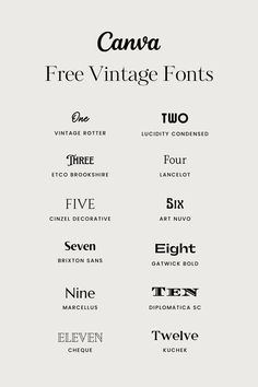 some type of font that is in different colors and sizes, with the words free vintage font