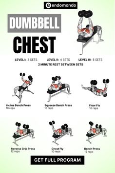 the dumbbell chest workout is shown with instructions to use it for bench presss