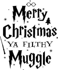 merry christmas ya filthy muggle with harry potters hat and wand on it's side