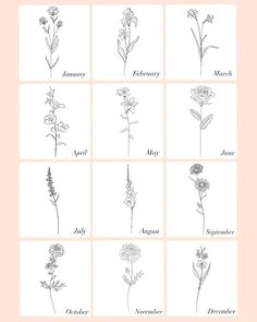 an image of flowers in different languages