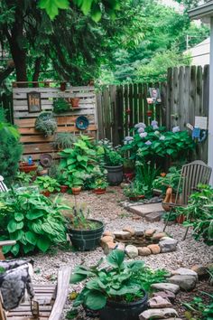 an outdoor garden with lots of plants and rocks