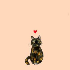 a cat with a red heart on its head sitting in front of a pink background