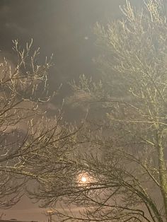 the street light shines brightly in the dark night sky above some bare tree branches