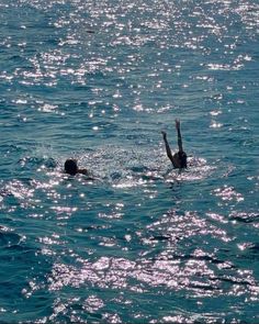 two people swimming in the ocean with their backs turned to the camera, and one person has his arms outstretched