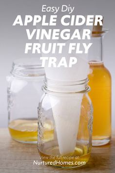 an apple cider, vinegar and fruit fly trap