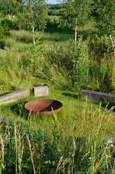 an old rusted metal bowl sitting in the middle of some tall grass and trees