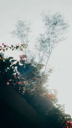 the sun shines brightly through the branches of trees and flowers on top of a building