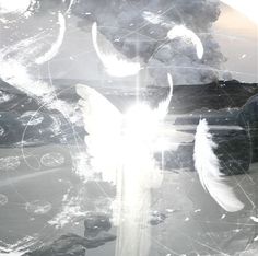 Purity Aesthetic White, Fairy White Aesthetic, Angelic White Aesthetic, Goth White Aesthetic, White Demon Aesthetic, Angel Core Icons, Y2k White Aesthetic, White Core Wallpaper, Angel Aesthetic White