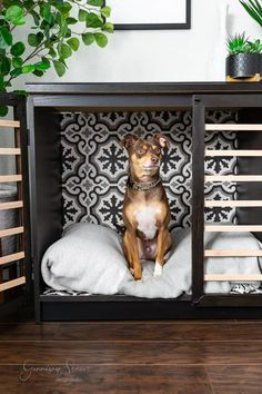 a dog sitting on top of a pillow in a wooden crate next to a potted plant