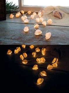 there are many shells on the floor and one is lit up with some light bulbs