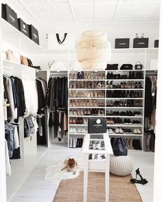 a white closet filled with lots of clothes and shoes next to a rug on the floor