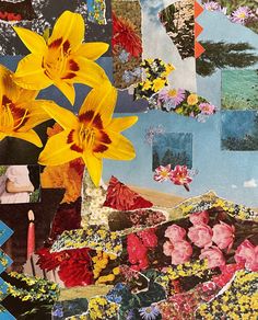 a collage of flowers and pictures is shown