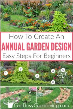 the steps to create an annual garden design for beginners with pictures and text overlay