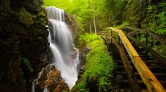 a waterfall in the middle of a forest with stairs leading up to it's base