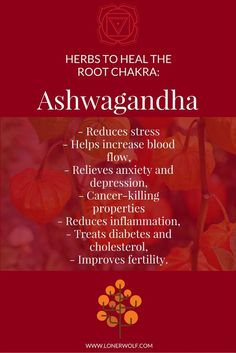 1st Chakra, Root Chakra Healing, Improve Fertility, Nutrition Education, Chakra Meditation, Healing Herbs, Root Chakra, Holistic Healing