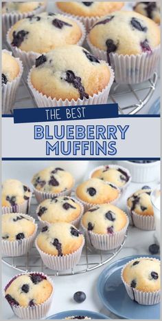 Treat yourself to these gourmet blueberry muffins. The rich blueberry flavor and moist texture make these muffins the ultimate indulgence. These homemade blueberry muffins are the perfect breakfast or brunch treat. The moist and delicious texture of these best blueberry muffins is sure to please even the pickiest eaters. Enjoy a batch of these gourmet muffins today! Quick Blueberry Muffins, Frozen Blueberry Muffins, Blueberry Muffin Recipe Easy, Blueberry Muffins Recipe, Homemade Blueberry Muffins, Best Blueberry Muffins, Raspberry Muffins, Simple Muffin Recipe, Strawberry Muffins