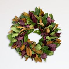 a wreath made out of leaves on a white background